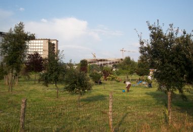 giardini via R.Raimondi Garibaldi